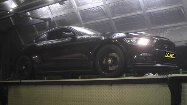 Ford Mustang LOZIC ECU Mapping смотреть онлайн