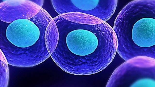 Водное отравление или что произойдёт если Выпить 5 литров Воды. смотреть онлайн