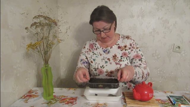 Клубника Эльсанта - два способа посева семян. смотреть онлайн