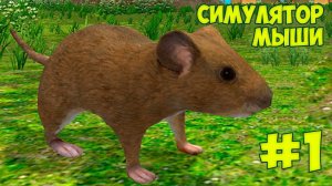 СИМУЛЯТОР маленькой МЫШИ Ухаживаю за питомцем и строю дом для мышонка