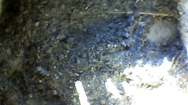 From Internet Camera(Turmfalken[03:1A:A5])2014/07/16,19:09:49_D смотреть онлайн