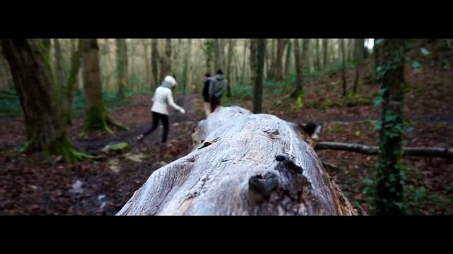 Sony A 5100 vidéo test смотреть онлайн