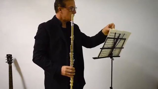 Pergolesi. Allegro Spiritoso.Concerto in sol maggiore. смотреть онлайн