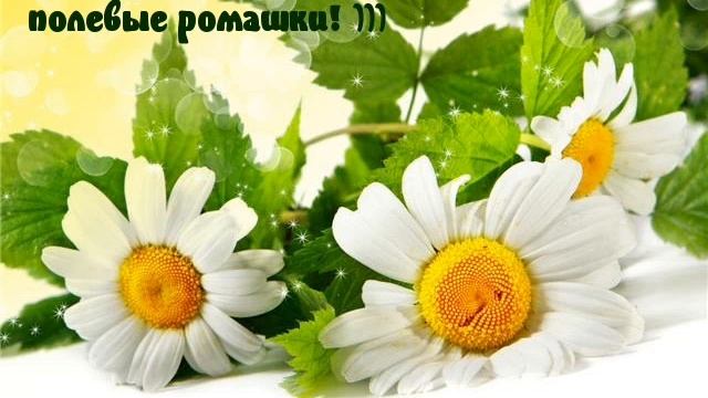 Поздравление с Днём рождения прекрасной Наталье смотреть онлайн