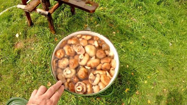 Учим Делать Умно