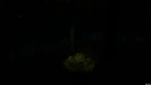 Прохождение игры Survivors Viy