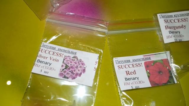 СЕМЕНА ПЕТУНИИ В ПРОФ УПАКОВКЕ.ПОСЫЛКА ПРИШЛА. ПОГОВОРИМ О СЕРИЯХ И СОРТАХ.