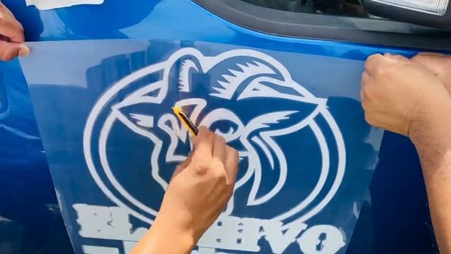 are decal business profitable? смотреть онлайн