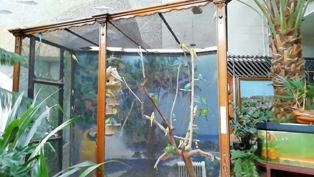 Дом офицеров Каспийской флотилии! Небольшой экскурс в зооуголок! смотреть онлайн