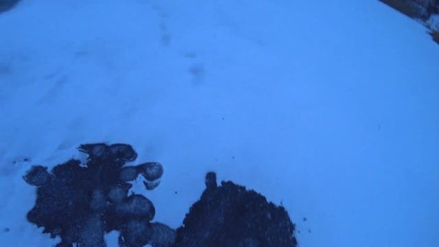 УРА! ПЕРВЫЙ ЛЁД 2022 - 2023! ОПУСТИЛ БЕЗМОТЫЛКУ в ТРАВУ и ОТКРЫЛ СЕЗОН! Зимняя рыбалка на окуня! смотреть онлайн