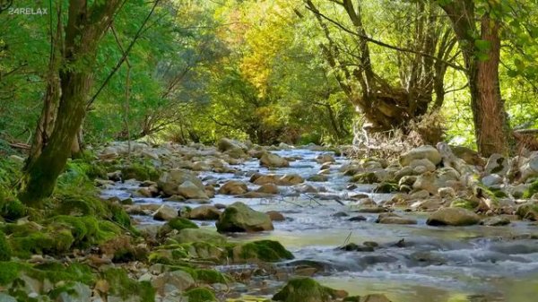 Горный ручей