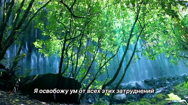 "Не суетись". 23 июля. День за днем в Ал-анон. Ежедневник для созависимых. смотреть онлайн
