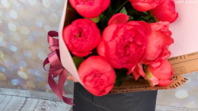 Обзор букета из 11 коралловых пионов в упаковке смотреть онлайн