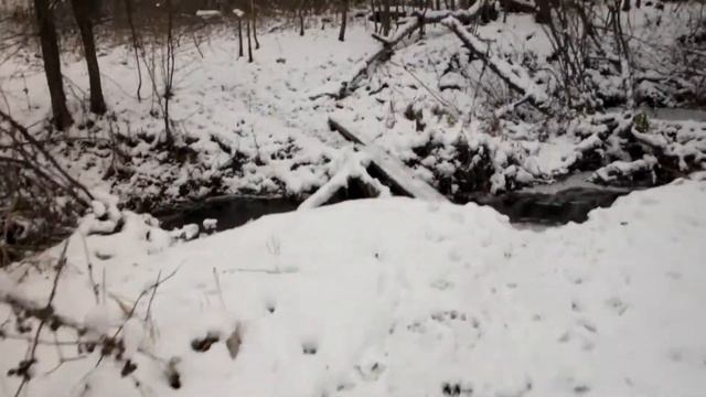 В гостях у Владислава на следующий день после футбола 03 11 2019 г смотреть онлайн