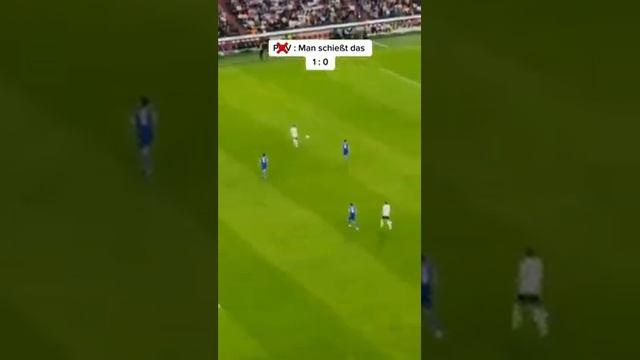 The greatest paper airplane throw of all time смотреть онлайн
