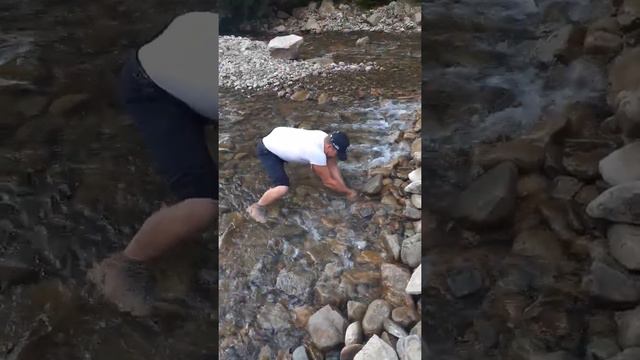 горная форель смотреть онлайн