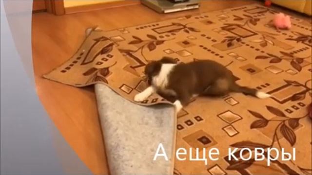 Шалости Наомики I 12 09 2021 смотреть онлайн