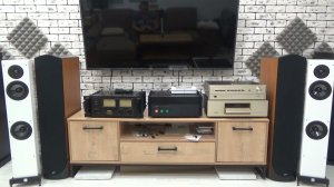 Yamaha B-5 + Accuphase DC-91 + Accuphase C-222  + Vienna Acoustics Mozart Grand