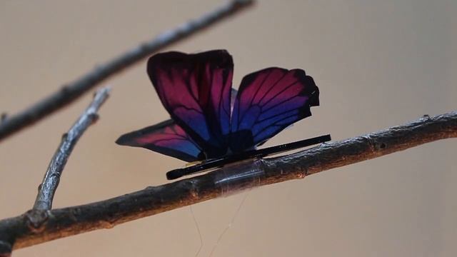 Гибкие искусственные мышцы смотреть онлайн