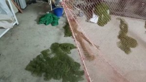 Драга,Ахан,Донный трал...или как там его?