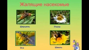 Лесные опасности