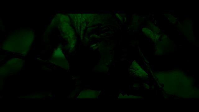 Зоопарк в Москве смотреть онлайн