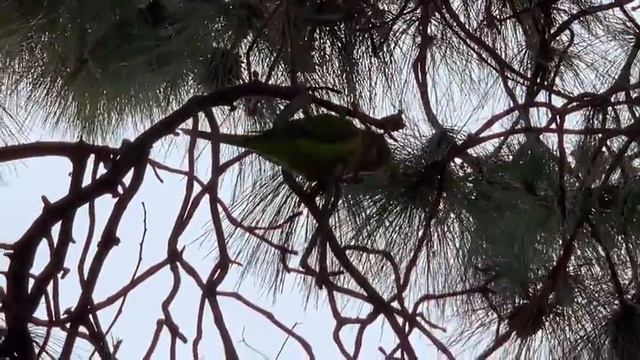 МОИ ОБРАЗЫ⚜️КРАСОТА ПРИРОДЫ смотреть онлайн