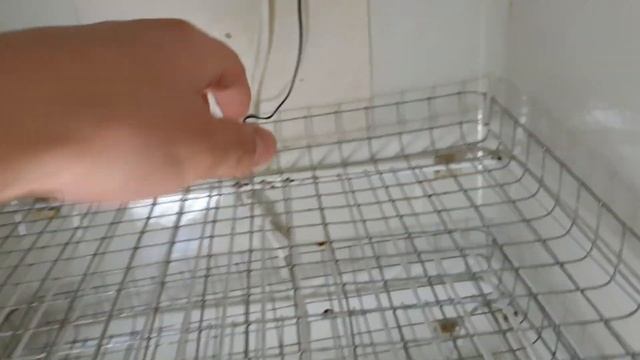 Самодельный инкубатор из холодильника. Обзор. Инкубатор смотреть онлайн