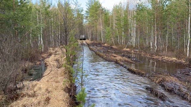 УАЗы ПО СТАРОЙ ЛЕСОВОЗНОЙ ДОРОГЕ смотреть онлайн