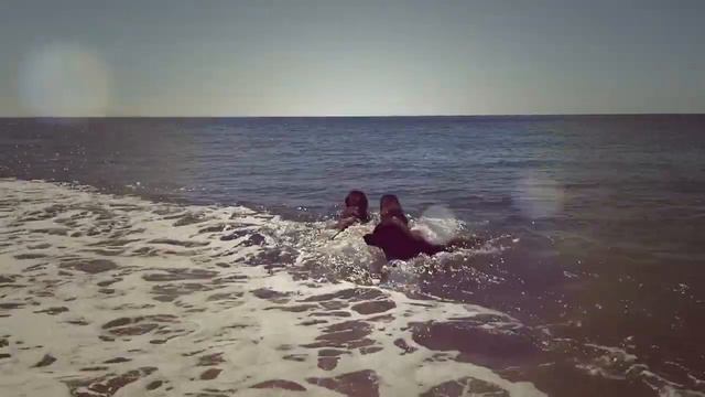 Leonberger Antics episode 120 смотреть онлайн