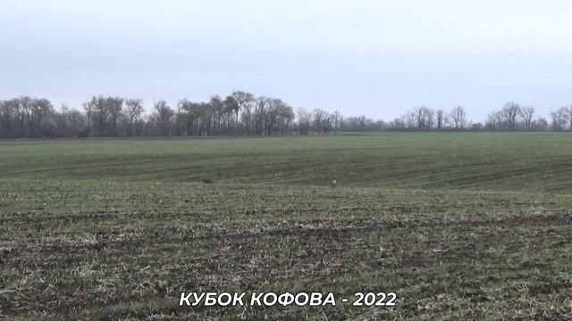 КУБОК КОФОВА 2022