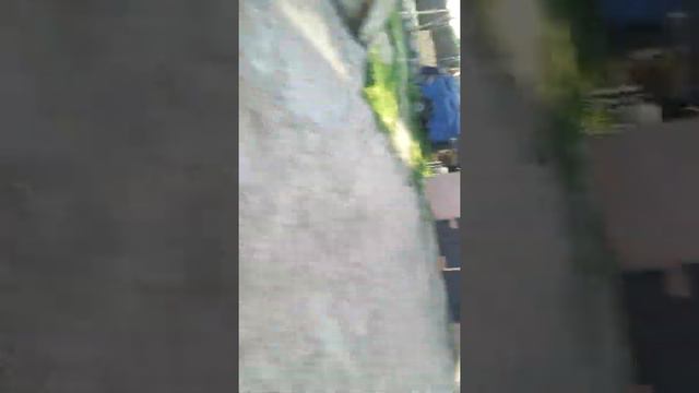 Что такое Real я тоже так хочу смотреть онлайн