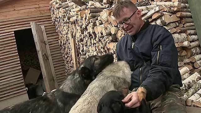 Приключения иностранцев в России, или кому на Руси, как оказалось, пахать хорошо
