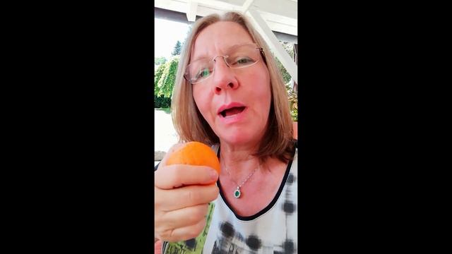 Die Orange und ihre spirituelle Aufgabe für uns - Medical Food von Anthony William смотреть онлайн