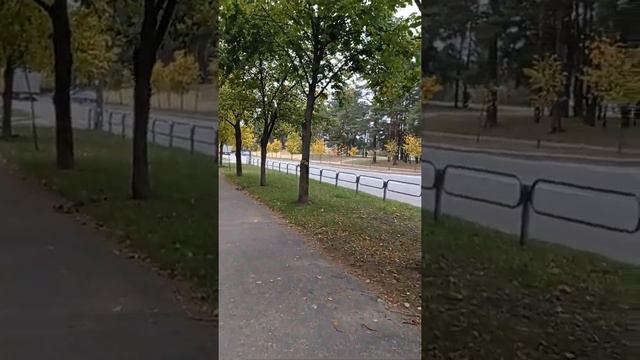 Улица Галицкого , Борисов смотреть онлайн