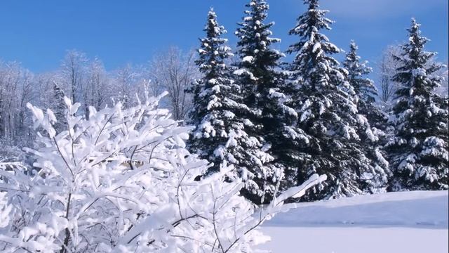 В шубах и шапках. По А. Тумбасову смотреть онлайн