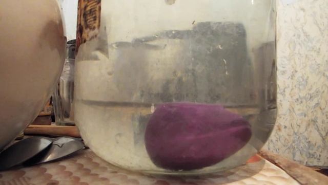 яйцо и модель яйца в вихре (по следу Шаубергера)