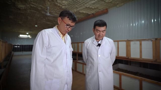 Мини БИЗНЕС на Дому с МИНИМАЛЬНЫМИ вложениями. Сверчковая ферма – обзор смотреть онлайн