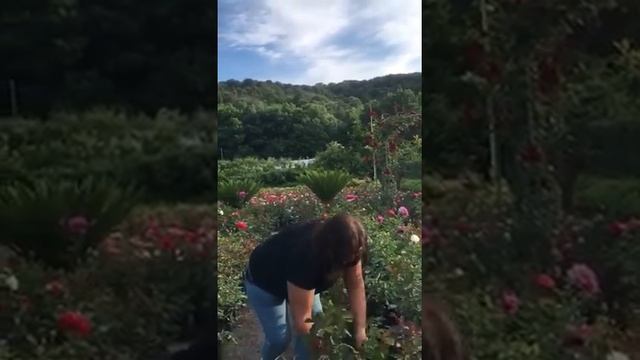 Ein Kurzfilm über das Gedicht "Gefunden" смотреть онлайн