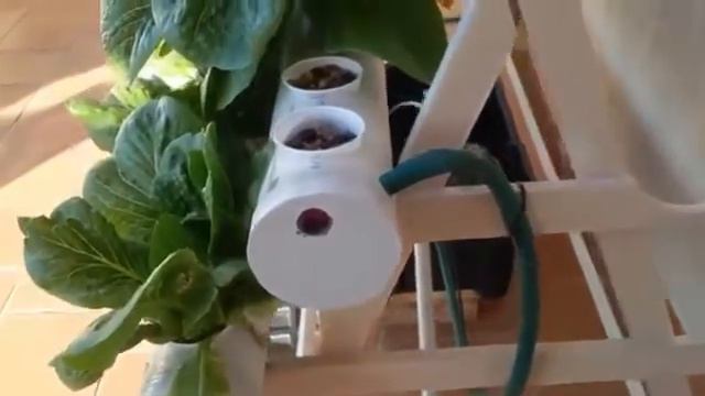 Hydroponics смотреть онлайн