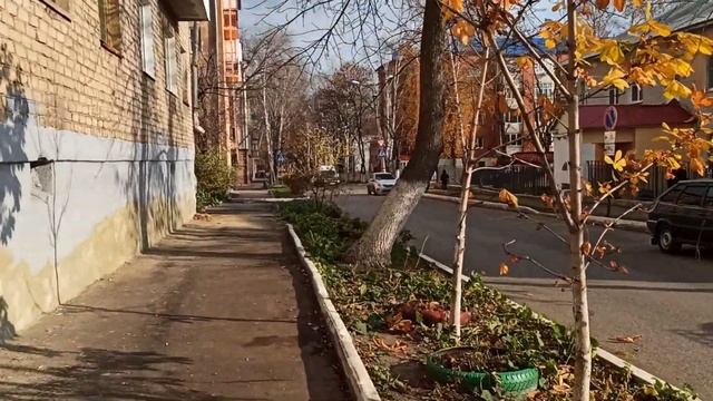 Versus камер HONOR 20 PRO и REDMI NOTE 8 PRO смотреть онлайн