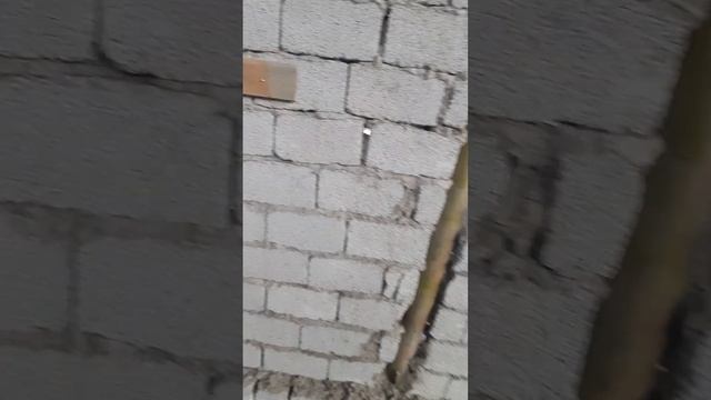сухой смес чикарадиган мишалка смотреть онлайн