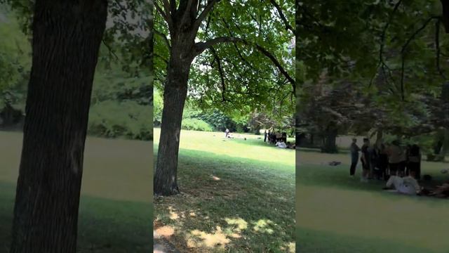 День рождения Коли и Найле смотреть онлайн