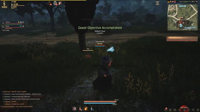 Let's Play Black Desert Online Co-op Part 1 - Kaiious the Wizard & Blasto the Warrior (English) смотреть онлайн