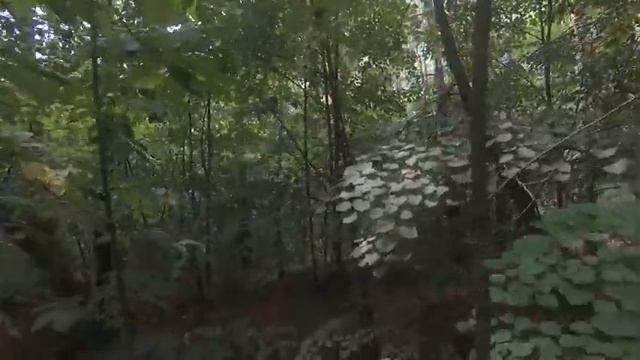 Обход участка, итоги за месяц и планы на будущее. смотреть онлайн