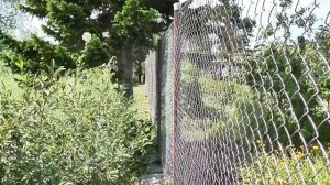 Забор из сетки рабица и старых водопроводных труб. ч. 2