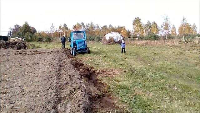 Трактор ЗиД и Тибетский мастиф. Homemade tractor. смотреть онлайн