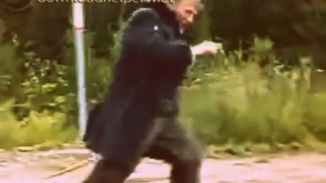 Сбор грибов и трав в псковской области смотреть онлайн