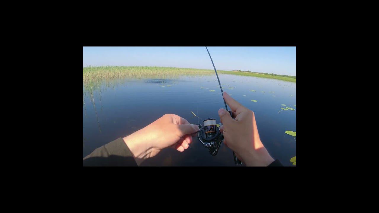 #мормышинг | КРАСНОПЕРКА любит Megadeth | CF Sub Zero | смотреть онлайн