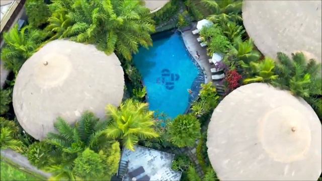 О ТЕХ, КТО ТОЛЬКО ВОПЛОТИЛСЯ ИЛИ СОБИРАЕТСЯ. Послание Богородицы